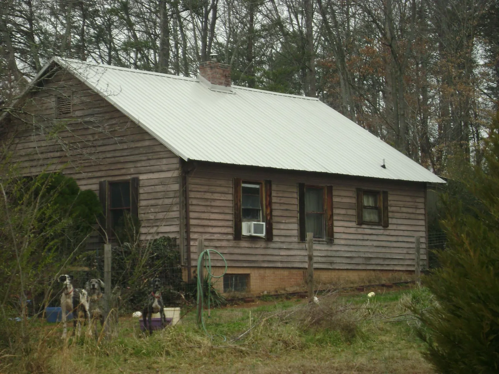 White metal roof on an old wood sided farmhouse in Sand Creek